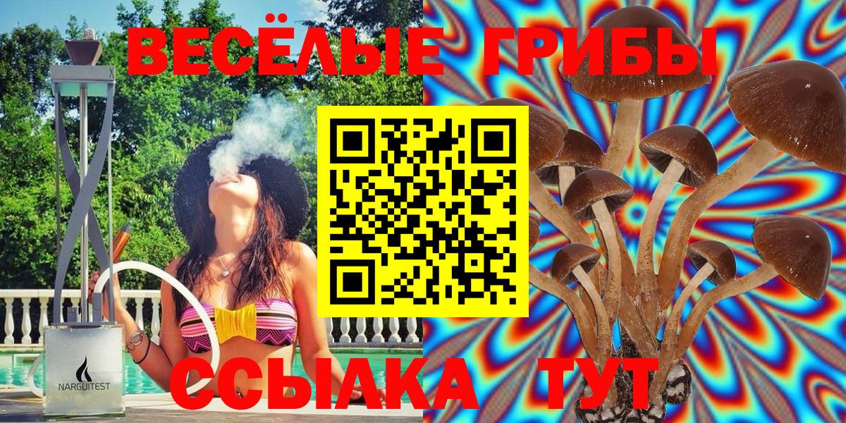 Галлюциногенные грибы MAGIC MUSHROOMS  Галлюциногенные грибы Psilocybe  Йошкар-Ола  купить   Вход с VPN 