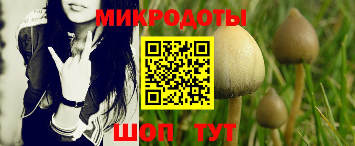 Псилоцибиновые грибы прущие грибы Йошкар-Ола